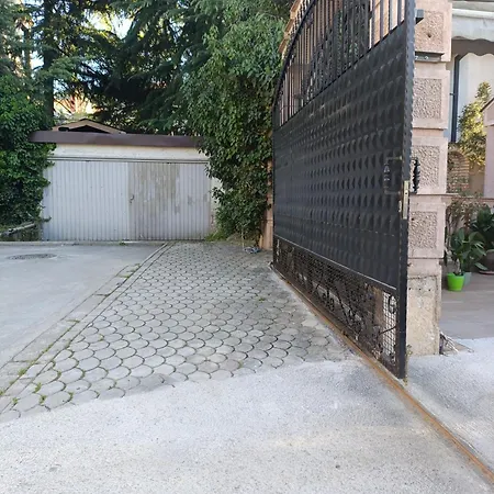 Alexander 斯科普里